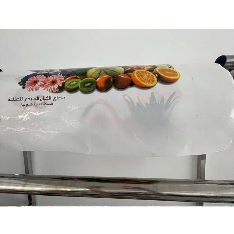 Impresora flexográfica de alta - Printer Paper reseña y precio